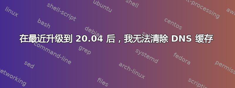 在最近升级到 20.04 后，我无法清除 DNS 缓存