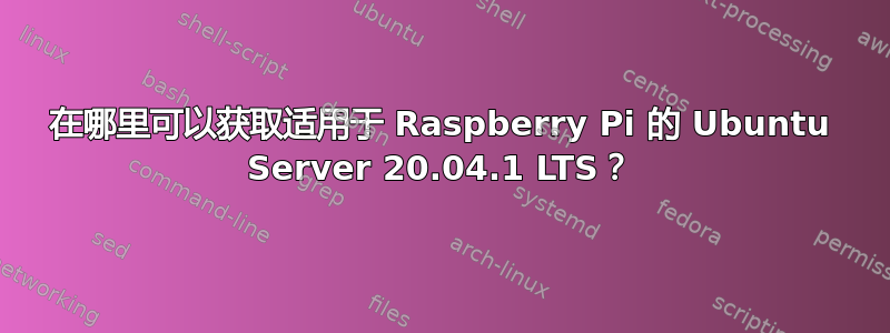 在哪里可以获取适用于 Raspberry Pi 的 Ubuntu Server 20.04.1 LTS？