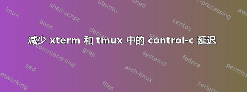 减少 xterm 和 tmux 中的 control-c 延迟