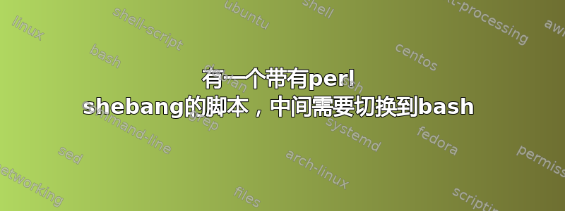 有一个带有perl shebang的脚本，中间需要切换到bash