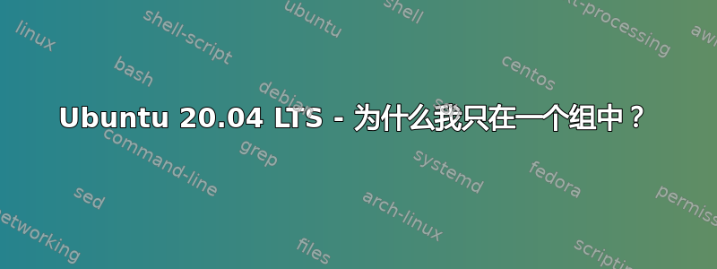 Ubuntu 20.04 LTS - 为什么我只在一个组中？