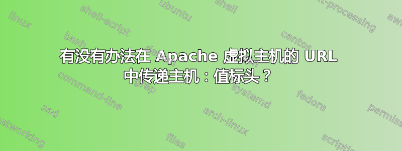 有没有办法在 Apache 虚拟主机的 URL 中传递主机：值标头？