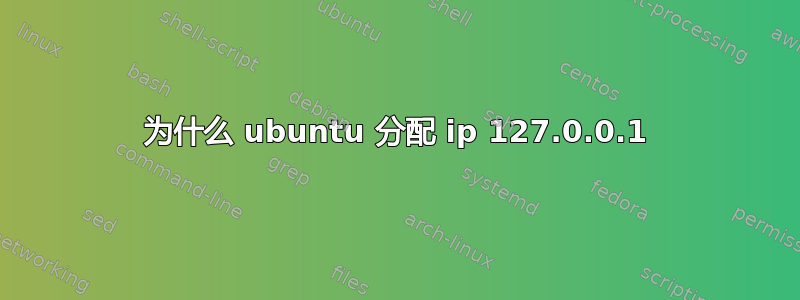 为什么 ubuntu 分配 ip 127.0.0.1