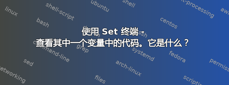 使用 Set 终端 - 查看其中一个变量中的代码。它是什么？