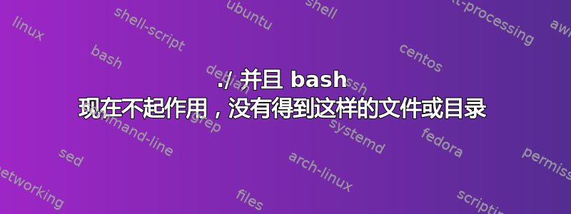 ./ 并且 bash 现在不起作用，没有得到这样的文件或目录