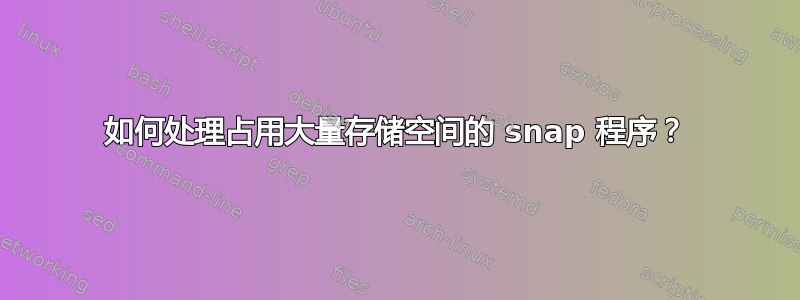 如何处理占用大量存储空间的 snap 程序？