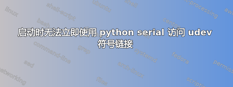 启动时无法立即使用 python serial 访问 udev 符号链接