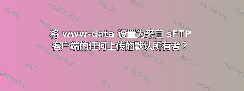 将 www-data 设置为来自 sFTP 客户端的任何上传的默认所有者？