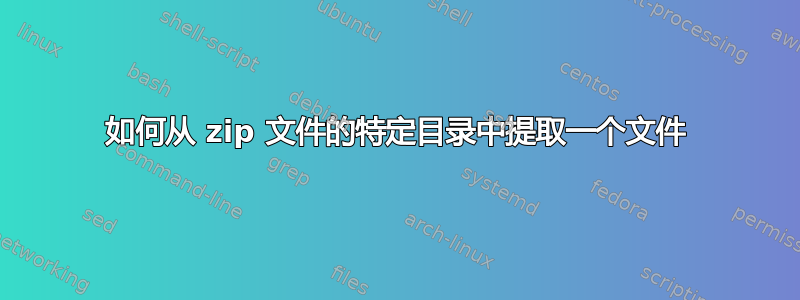 如何从 zip 文件的特定目录中提取一个文件