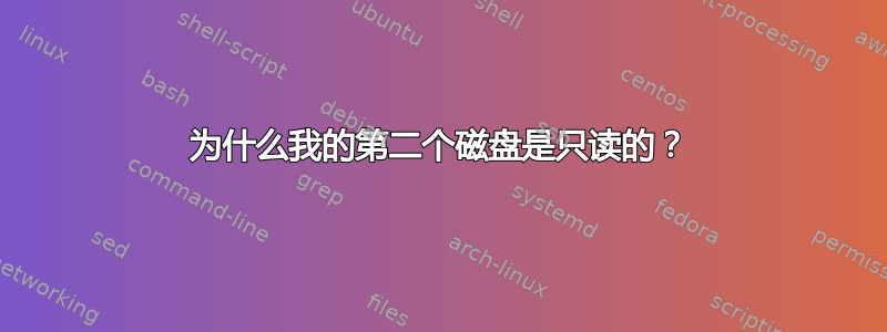 为什么我的第二个磁盘是只读的？