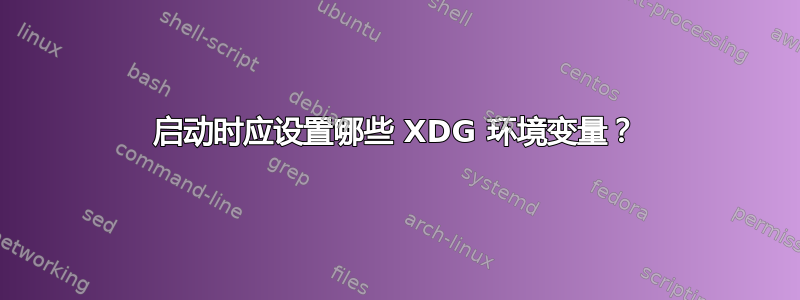 启动时应设置哪些 XDG 环境变量？