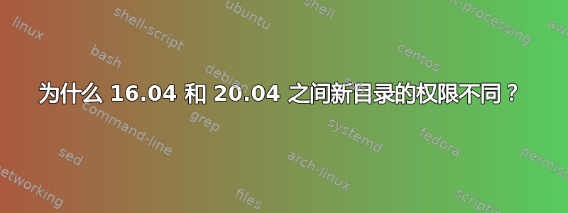 为什么 16.04 和 20.04 之间新目录的权限不同？