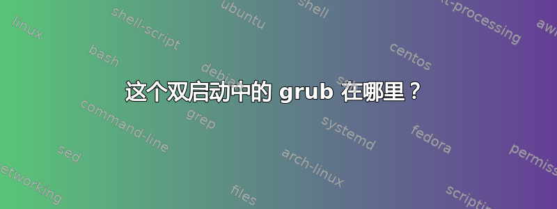 这个双启动中的 grub 在哪里？