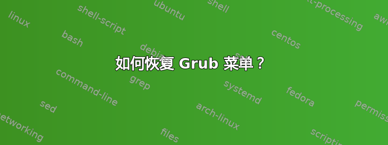 如何恢复 Grub 菜单？