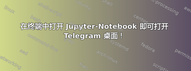 在终端中打开 Jupyter-Notebook 即可打开 Telegram 桌面！