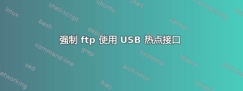 强制 ftp 使用 USB 热点接口