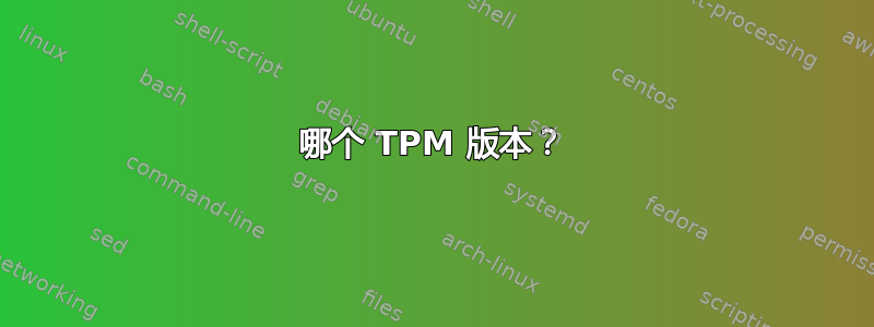 哪个 TPM 版本？