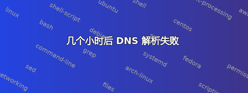 几个小时后 DNS 解析失败