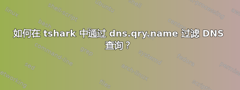 如何在 tshark 中通过 dns.qry.name 过滤 DNS 查询？