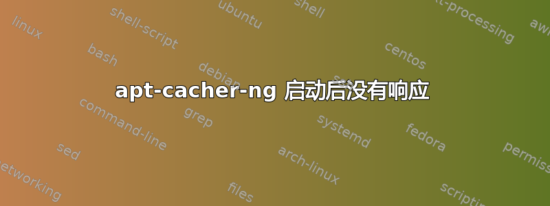 apt-cacher-ng 启动后没有响应