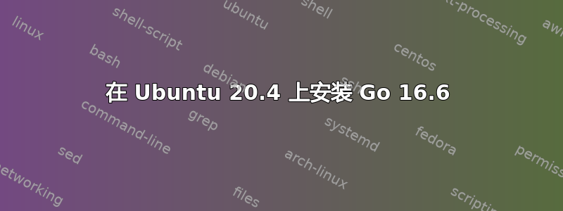 在 Ubuntu 20.4 上安装 Go 16.6