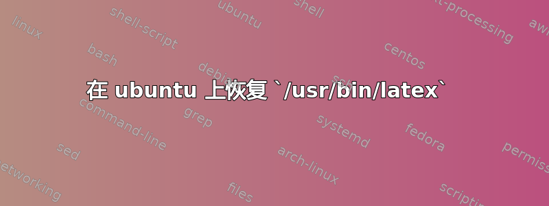 在 ubuntu 上恢复 `/usr/bin/latex` 