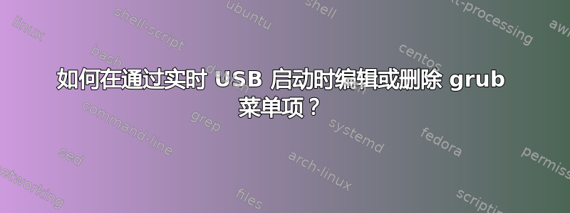 如何在通过实时 USB 启动时编辑或删除 grub 菜单项？