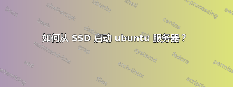 如何从 SSD 启动 ubuntu 服务器？