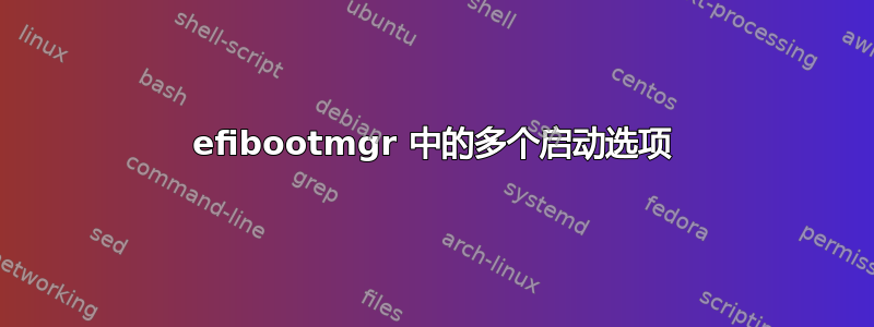 efibootmgr 中的多个启动选项