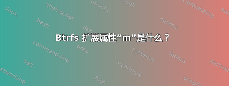 Btrfs 扩展属性“m”是什么？