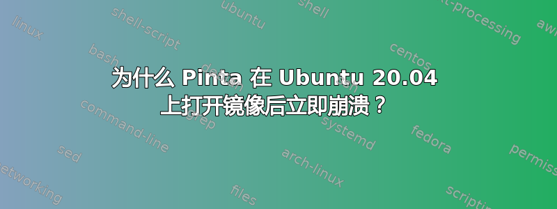 为什么 Pinta 在 Ubuntu 20.04 上打开镜像后立即崩溃？