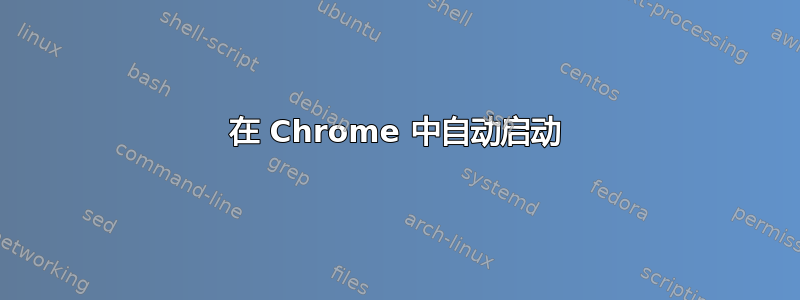 在 Chrome 中自动启动