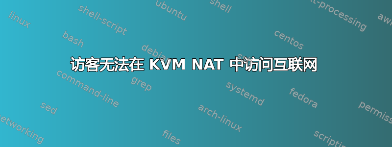 访客无法在 KVM NAT 中访问互联网