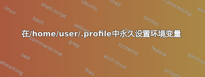 在/home/user/.profile中永久设置环境变量