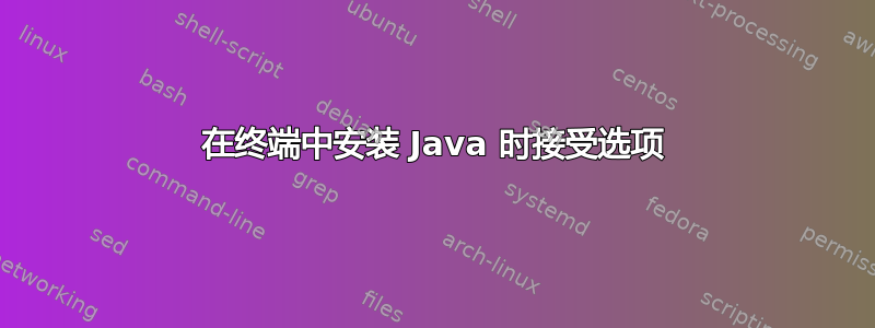 在终端中安装 Java 时接受选项