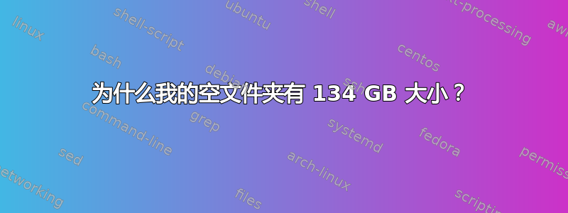 为什么我的空文件夹有 134 GB 大小？