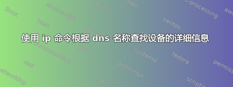 使用 ip 命令根据 dns 名称查找设备的详细信息