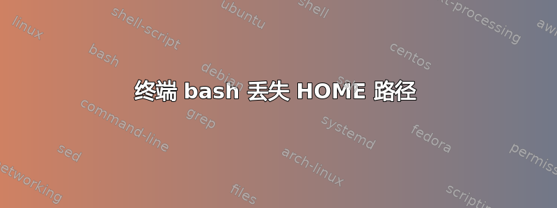 终端 bash 丢失 HOME 路径