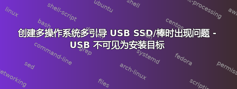 创建多操作系统多引导 USB SSD/棒时出现问题 - USB 不可见为安装目标