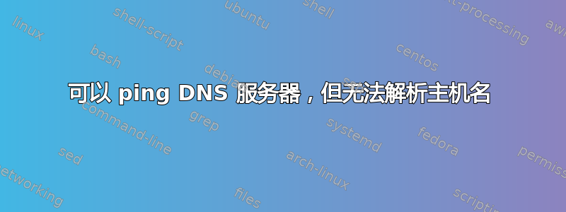 可以 ping DNS 服务器，但无法解析主机名