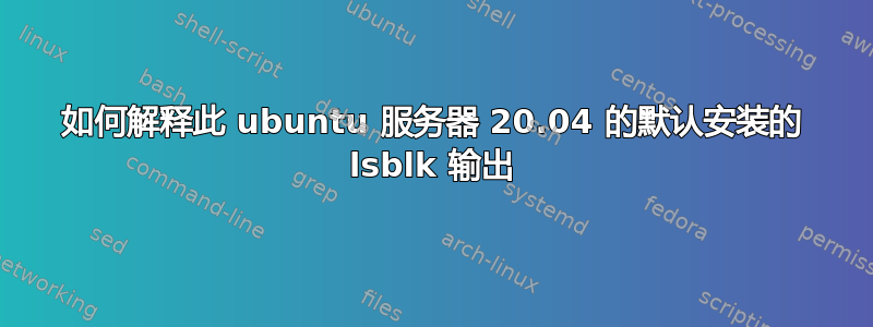 如何解释此 ubuntu 服务器 20.04 的默认安装的 lsblk 输出