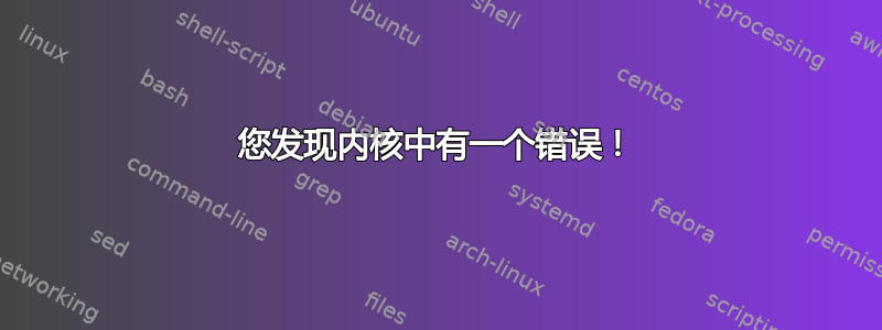 您发现内核中有一个错误！