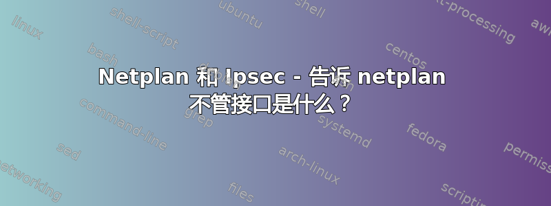 Netplan 和 Ipsec - 告诉 netplan 不管接口是什么？