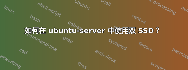 如何在 ubuntu-server 中使用双 SSD？