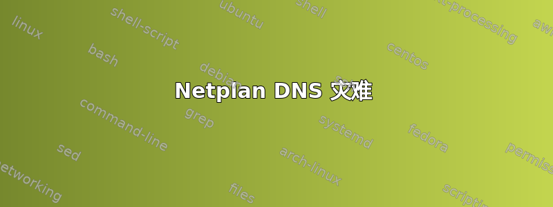 Netplan DNS 灾难