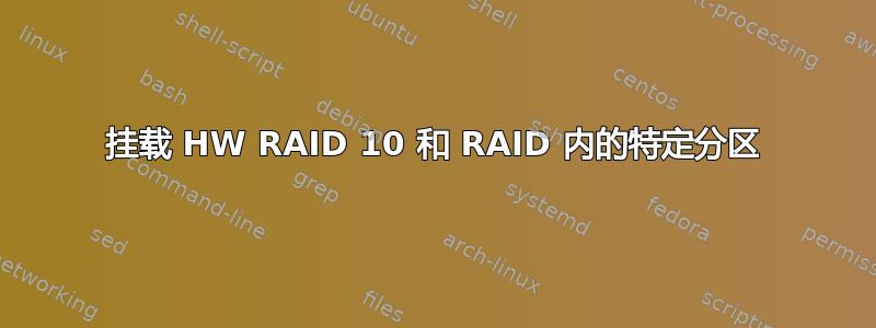 挂载 HW RAID 10 和 RAID 内的特定分区