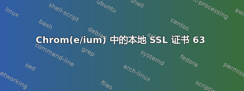 Chrom(e/ium) 中的本地 SSL 证书 63