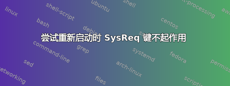 尝试重新启动时 SysReq 键不起作用