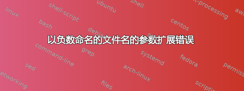 以负数命名的文件名的参数扩展错误