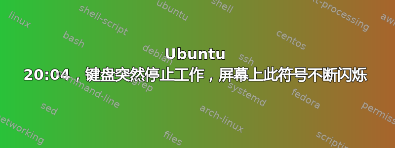 Ubuntu 20:04，键盘突然停止工作，屏幕上此符号不断闪烁